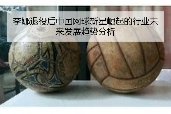 李娜退役后中国网球新星崛起的行业未来发展趋势分析