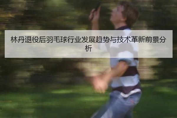 林丹退役后羽毛球行业发展趋势与技术革新前景分析