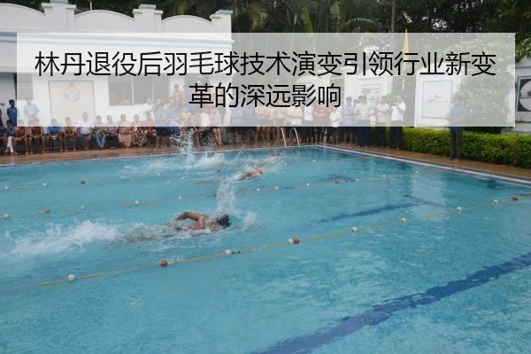 林丹退役后羽毛球技术演变引领行业新变革的深远影响